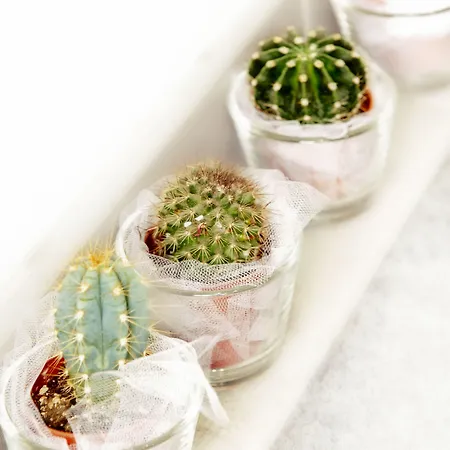 Cervetta 5 Hotel Modena