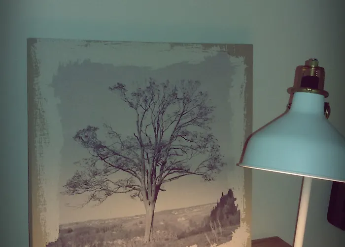 Cervetta 5 Ξενοδοχείο 3*