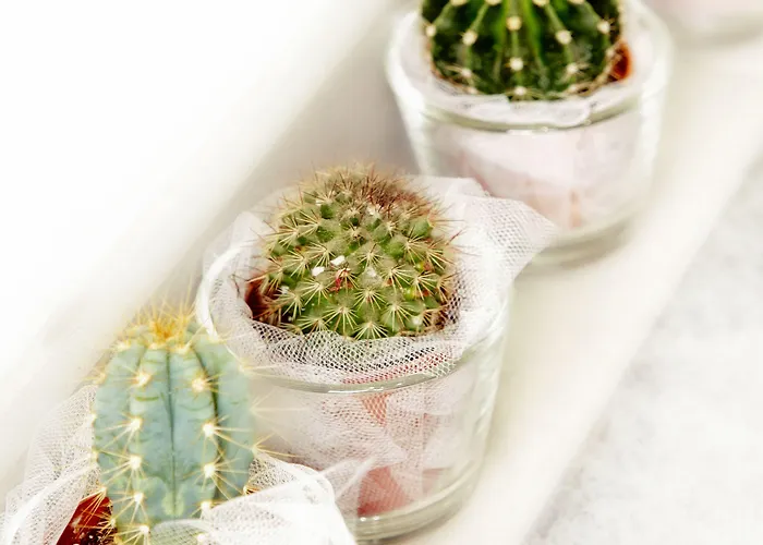 Cervetta 5 Ξενοδοχείο Μόντενα